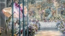 #济南婚礼司仪培训机构不错-「徐州司仪培训学院好找工作」