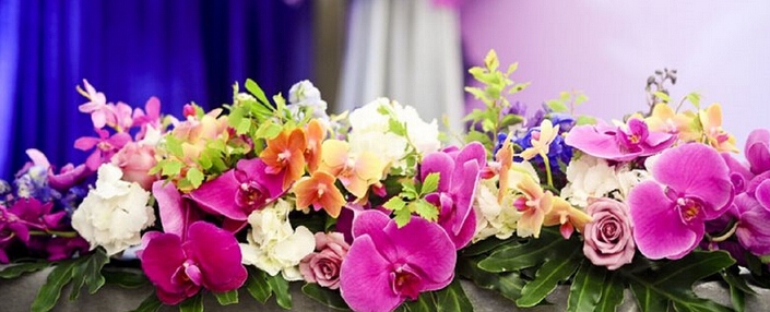 5657bff8728c8_800x600.jpg